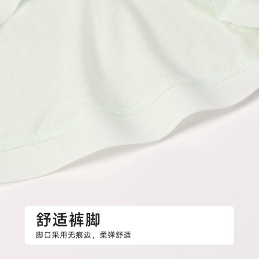 都市丽人宽版包覆系列锦提花宽版包覆平角裤LKH5H3 商品图5