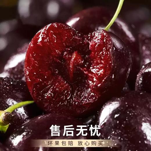 心选丨智利进口车厘子5斤新鲜水果应当季礼盒 甜蜜多汁 顺丰空运 商品图7