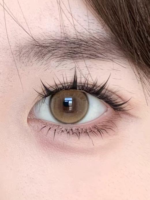 Kira Fairy（kirafairy）半年抛美瞳 鹿仙贝  直径14.2mm着色13.5mm 商品图4