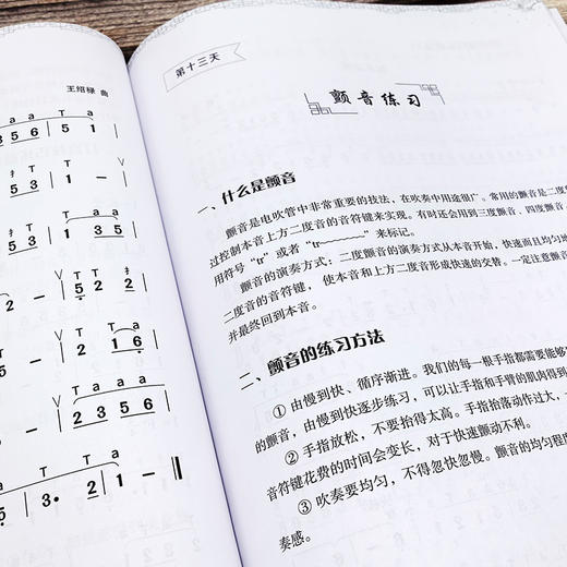 电吹管自学一月通 商品图4