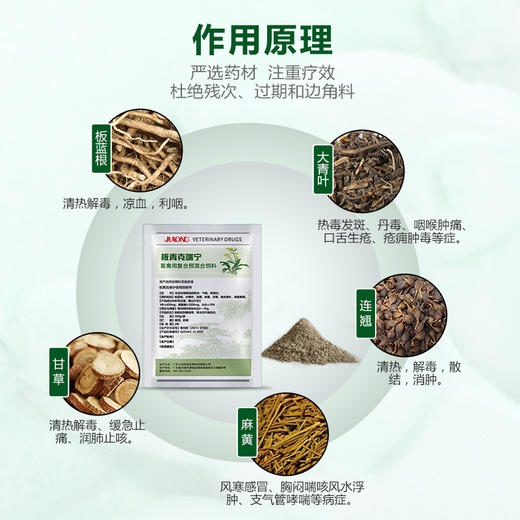 【板青克喘宁】肺热咳喘 清热解毒 宣肺平喘 呼吸道 500g 商品图3