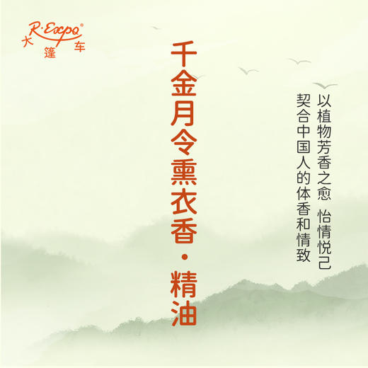 千金月令熏衣香·精油 古风香调 适用护体香护手油润发丝大篷车精油 商品图3