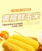 鲜糯玉米2.5kg 商品缩略图0