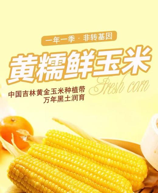 鲜糯玉米2.5kg 商品图0
