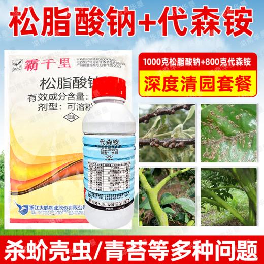 大鹏松脂酸钠升级版苍穹剑代森铵组合蚧壳虫介壳虫害虫果树清园剂 商品图2
