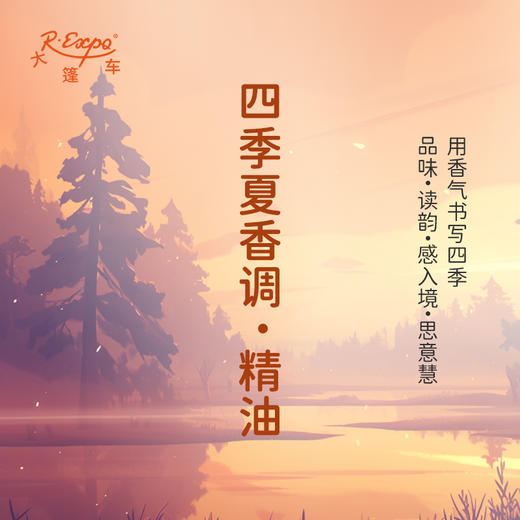 四季夏香调·精油 香氛 适用护肤洗护空间香氛私定产品 大篷车精油 商品图0