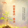 西普香调·精油 植物精油香氛 适用香水 护肤洗护产品 大篷车精油 商品缩略图3