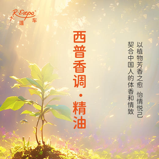 西普香调·精油 植物精油香氛 适用香水 护肤洗护产品 大篷车精油 商品图3