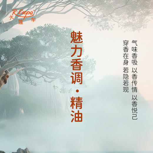 魅力香调·精油香氛 适用芳香养身护体香护肤 私定产品 大篷车精油 商品图1