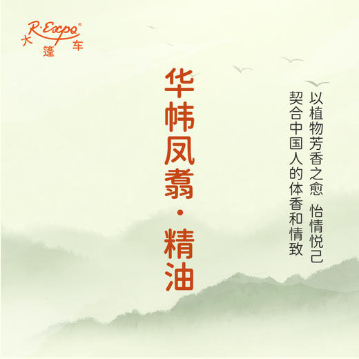 华帏凤翥·精油 古风香调精油 适用香水油护肤护体香 大篷车精油 商品图3