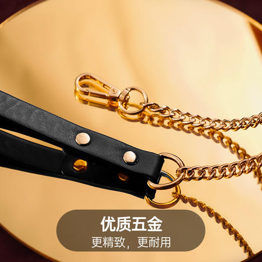 纵锦浪里sm情趣铃铛项圈牵引k8小狗心事宠物扮演道具捆绑束缚 商品图2