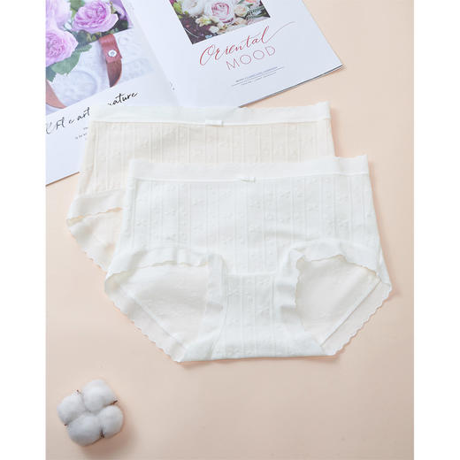 IEF/爱依服2025【2条装】 秋冬 日系温柔风亲肤透气女士内裤148 商品图1