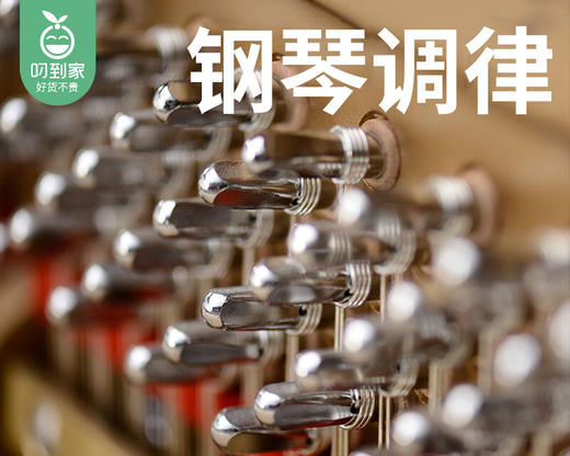 鑫律度「钢琴调音+内部清洁」服务套餐/1份【叼生活】 商品图2