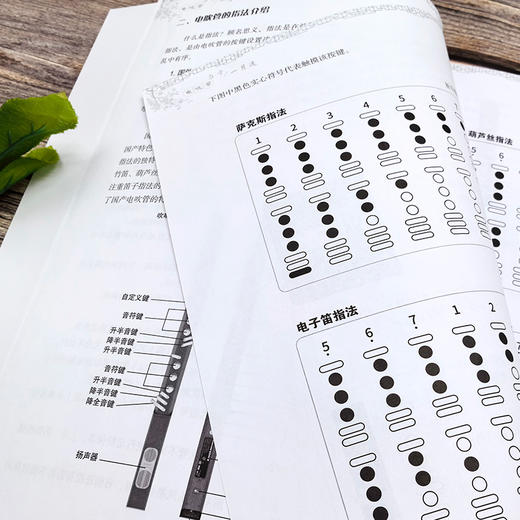 电吹管自学一月通 商品图3