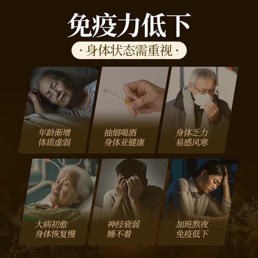 元维正破壁灵芝孢子粉 商品图1