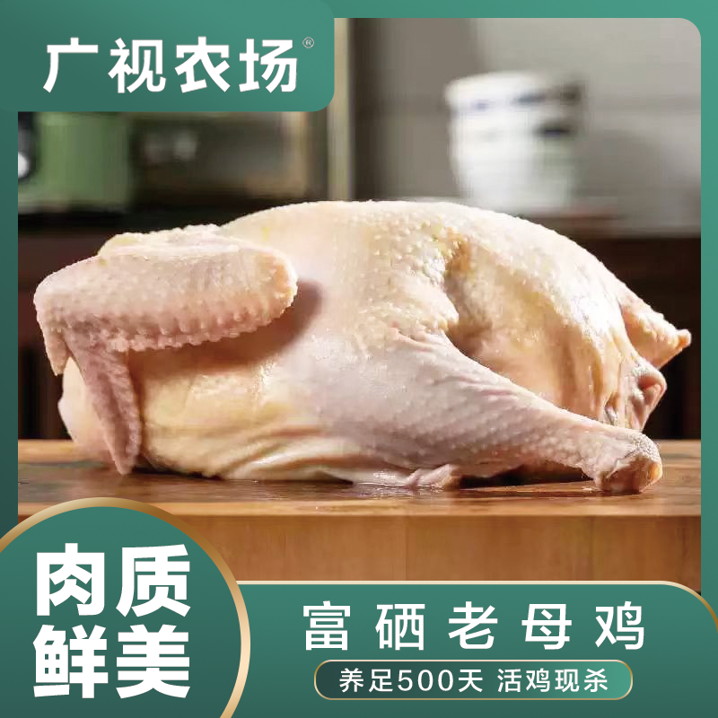 富硒老母鸡1300g/只  买一送一，冷链运输