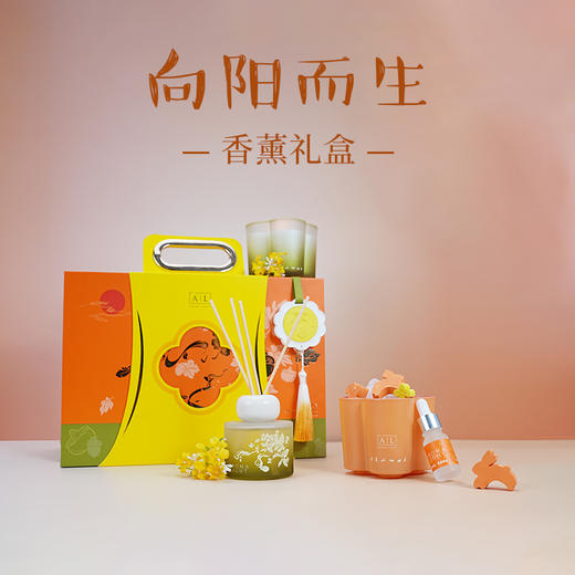 Aroma Light 向阳而生香薰礼盒 商品图0