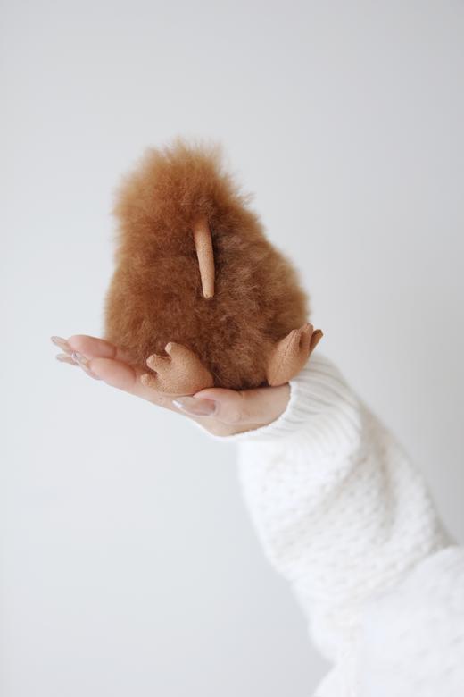 RetroChic | 几维鸟毛绒玩偶挂饰 商品图5