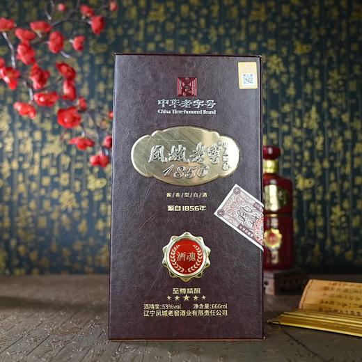 辽宁名酒 凤城老窖 1856酒魂 酱香型 粮食酒 666ml/瓶 53度 商品图2