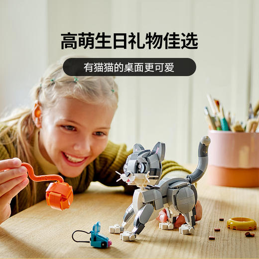 乐高 LEGO顽皮小猫LEGC31163 商品图3