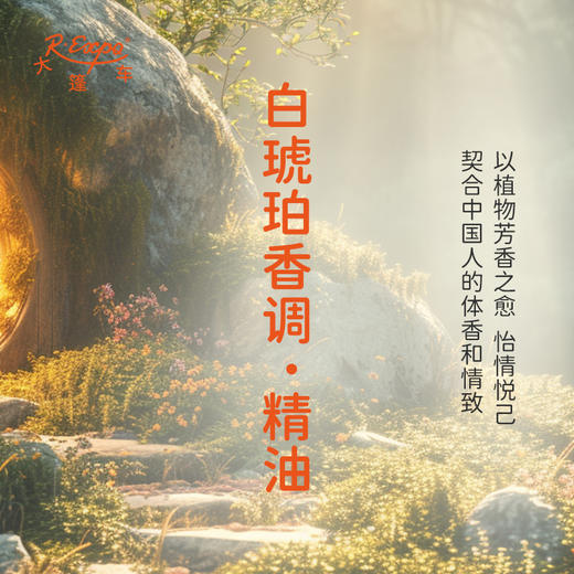 白琥珀香调·精油 植物精油香氛 适用香水 护肤洗护产品 大篷车精油 商品图3