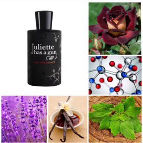 佩枪朱丽叶 复仇女神 Juliette Has A Gun Lady Vengeance  小样/正装