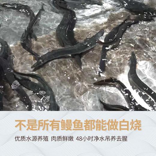 0.01元换购鳗鱼碎  | 川鳗王· 整条原切，元气一级蒲烧鳗鱼/极品白烧鳗鱼500g/盒 ，便携独立包装【鳗鱼碎单拍不发货】 商品图1