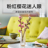 乐高 LEGO樱花LEGC40725 商品缩略图1