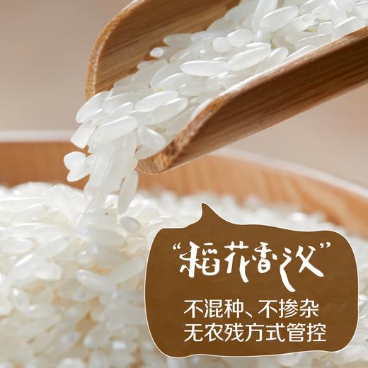 【7天新米】7天大米礼盒3kg 稻花香大米 五常产区直发 商品图5