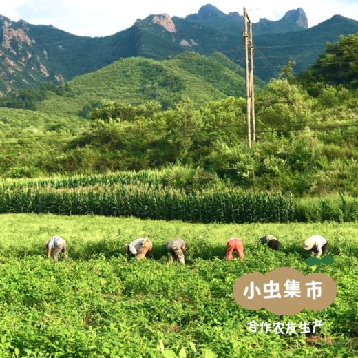 有机黄豆豆腐丸子 | 合作农友生产，产自河北承德，生产者：姚计峰 *【公平贸易农人定价】 商品图8