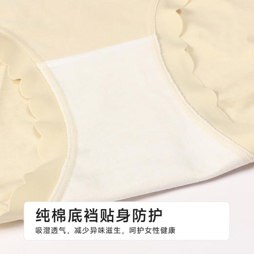 都市丽人宽版包覆系列超爽棉宽版包覆平角裤LKH5H2 商品图7