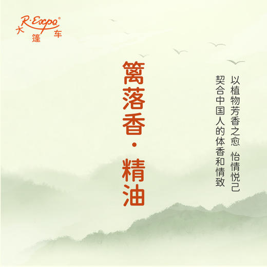 篱落香·精油 古风香调 适用护体香护手油润发丝大篷车精油 商品图3
