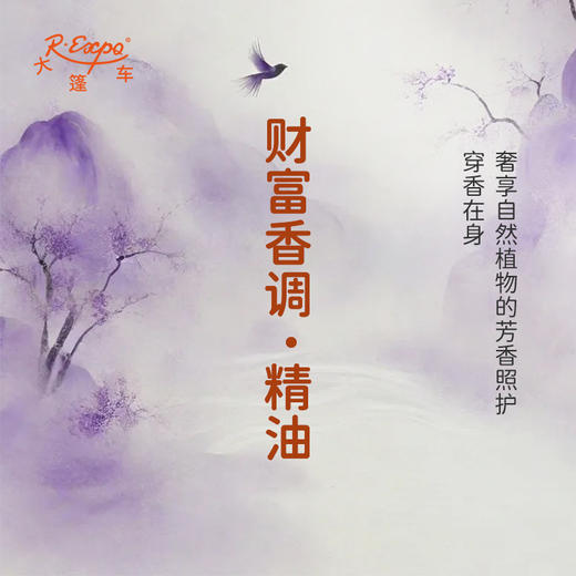财富香调·精油香氛 适用芳香养身护体香护肤私定产品 大篷车精油 商品图2