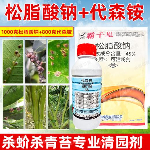大鹏松脂酸钠升级版苍穹剑代森铵组合蚧壳虫介壳虫害虫果树清园剂 商品图3