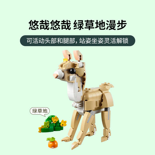乐高 LEGO可爱的兔子LEGC31162 商品图6