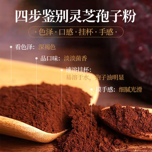 元维正破壁灵芝孢子粉 商品图9