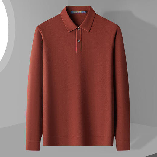 【可机洗100精纺羊毛】罗蒙加厚保暖羊毛衫半高领毛衣男羊毛衫 商品图1