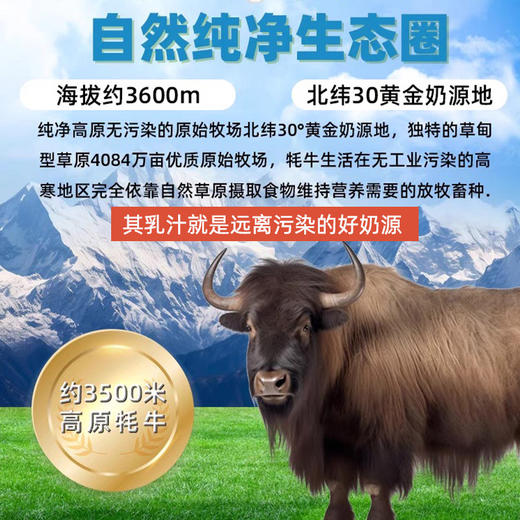 基波热牦牛奶粉420g 商品图8