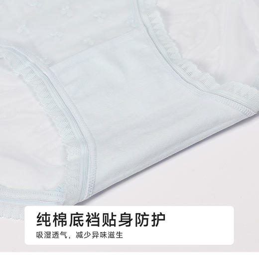 都市丽人蕾丝网布系列蕾丝薄透丝滑平角裤LKH5D8 商品图7