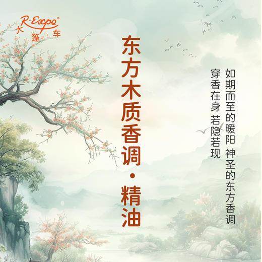 东方木质香调·精油 适用护肤洗护空间香氛私定产品 大篷车精油 商品图1