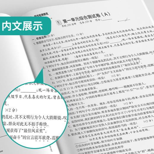 2025春 【人教版】八年级语文(下) 实验班提优大考卷 商品图3