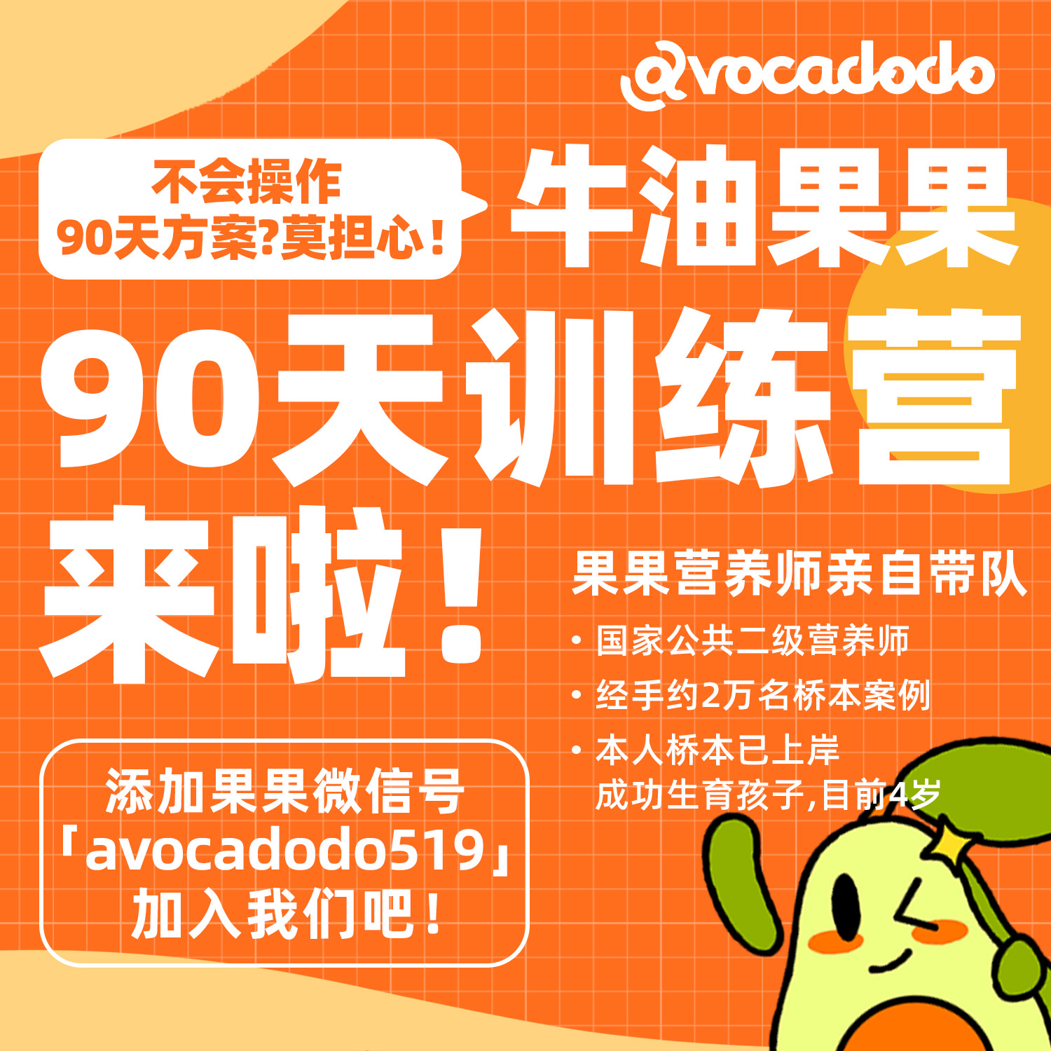 桥本90天方案三大阶段平民套餐温兹书内方案牛油果果桥本