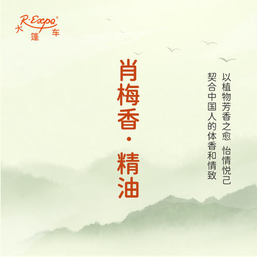 肖梅香·精油 古风香调 适用护体香护手油润发丝大篷车精油 商品图3