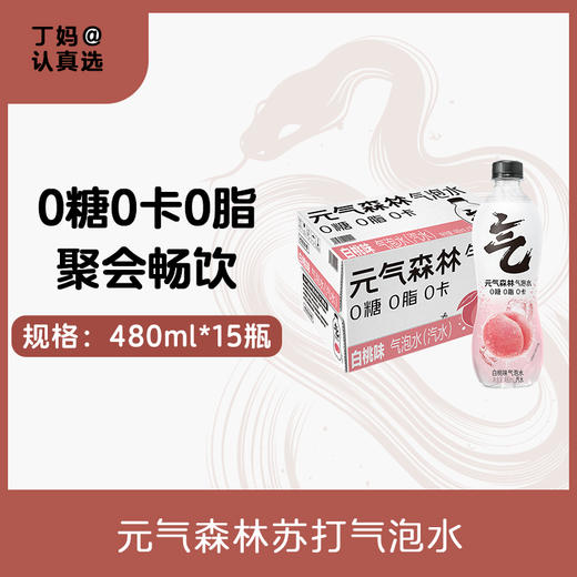 【苏打气泡水】元气森林气泡水480mL*15瓶 商品图0