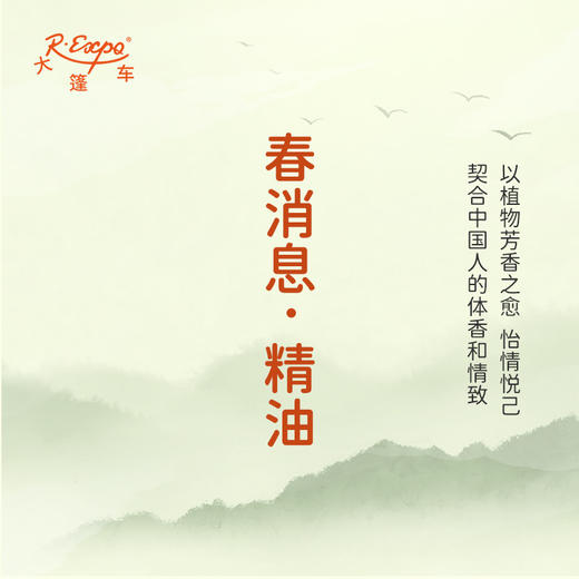 春消息·精油 古风香调 适用护体香护手油润发丝大篷车精油 商品图3