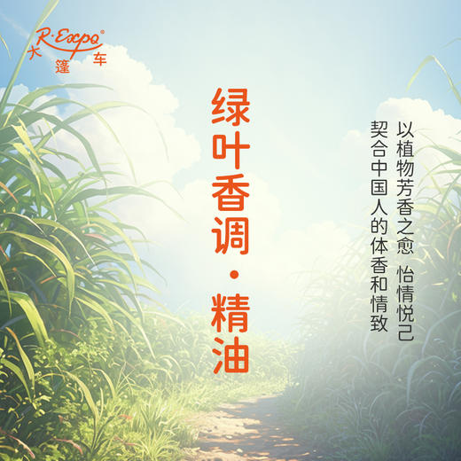 绿叶香调·精油 植物精油 适用香水沙龙 护肤洗护产品 大篷车精油 商品图3