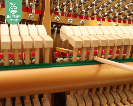 鑫律度「钢琴调音+内部清洁」服务套餐/1份【叼生活】 商品图3