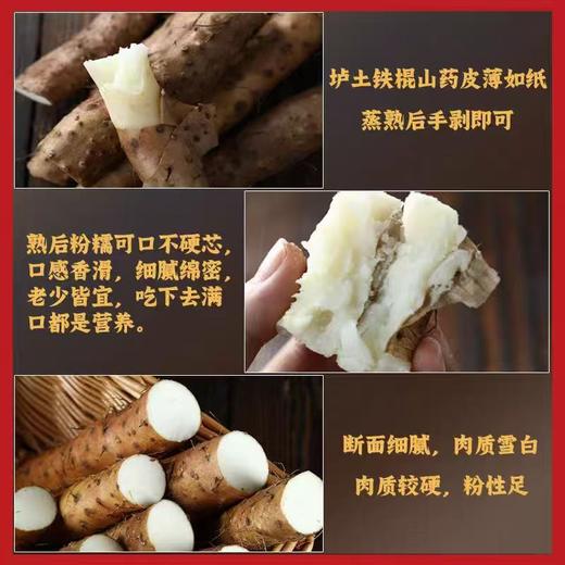 优选丨珍铁鲜铁棍山药  5斤/盒 铁棍山药粉 180克/盒  每盒内装12克X15条 商品图2