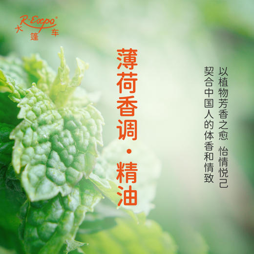 薄荷香调·精油 植物精油 适用香水沙龙 护肤洗护产品 大篷车精油 商品图3