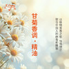 甘菊香调·精油 植物精油适用香水护肤洗护产品空间香氛大篷车精油 商品缩略图3